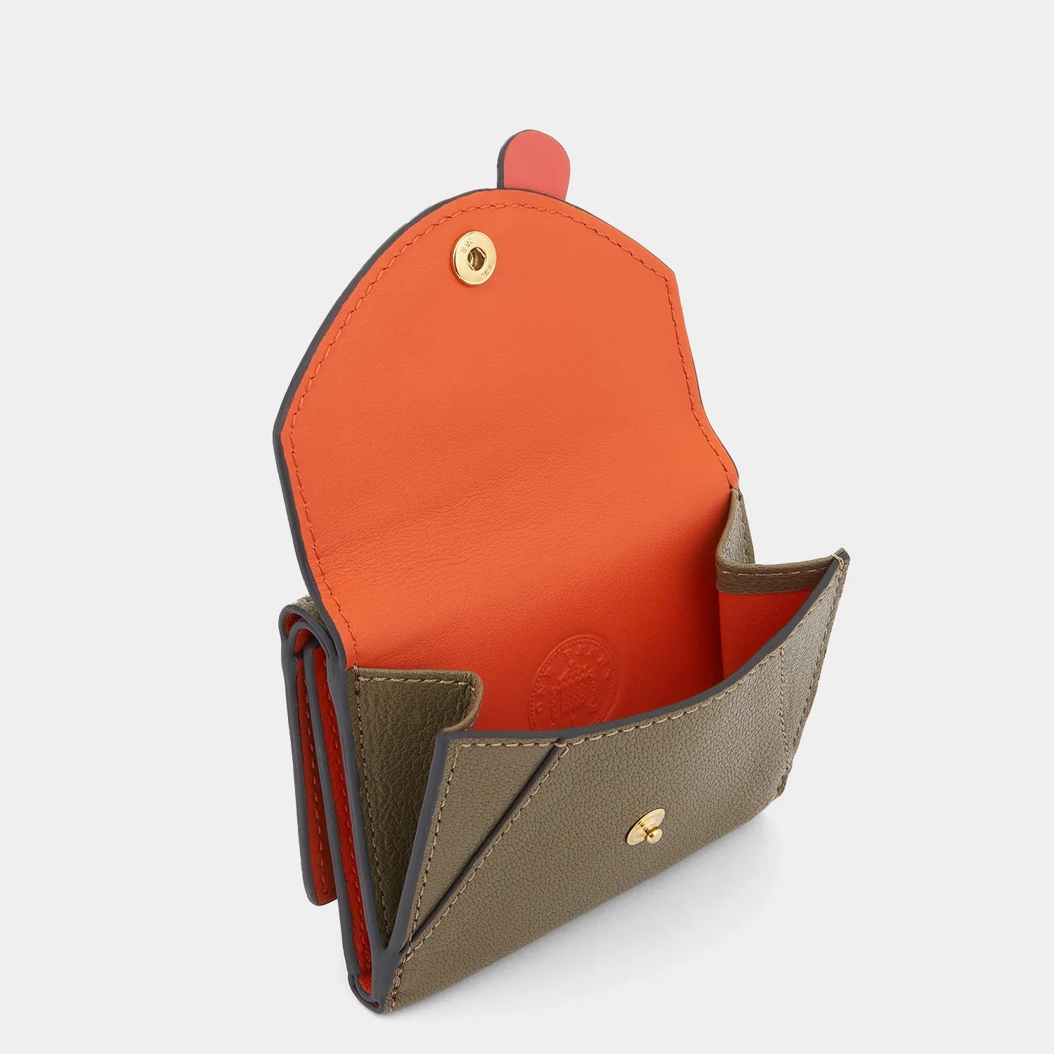 Zany Mini Trifold