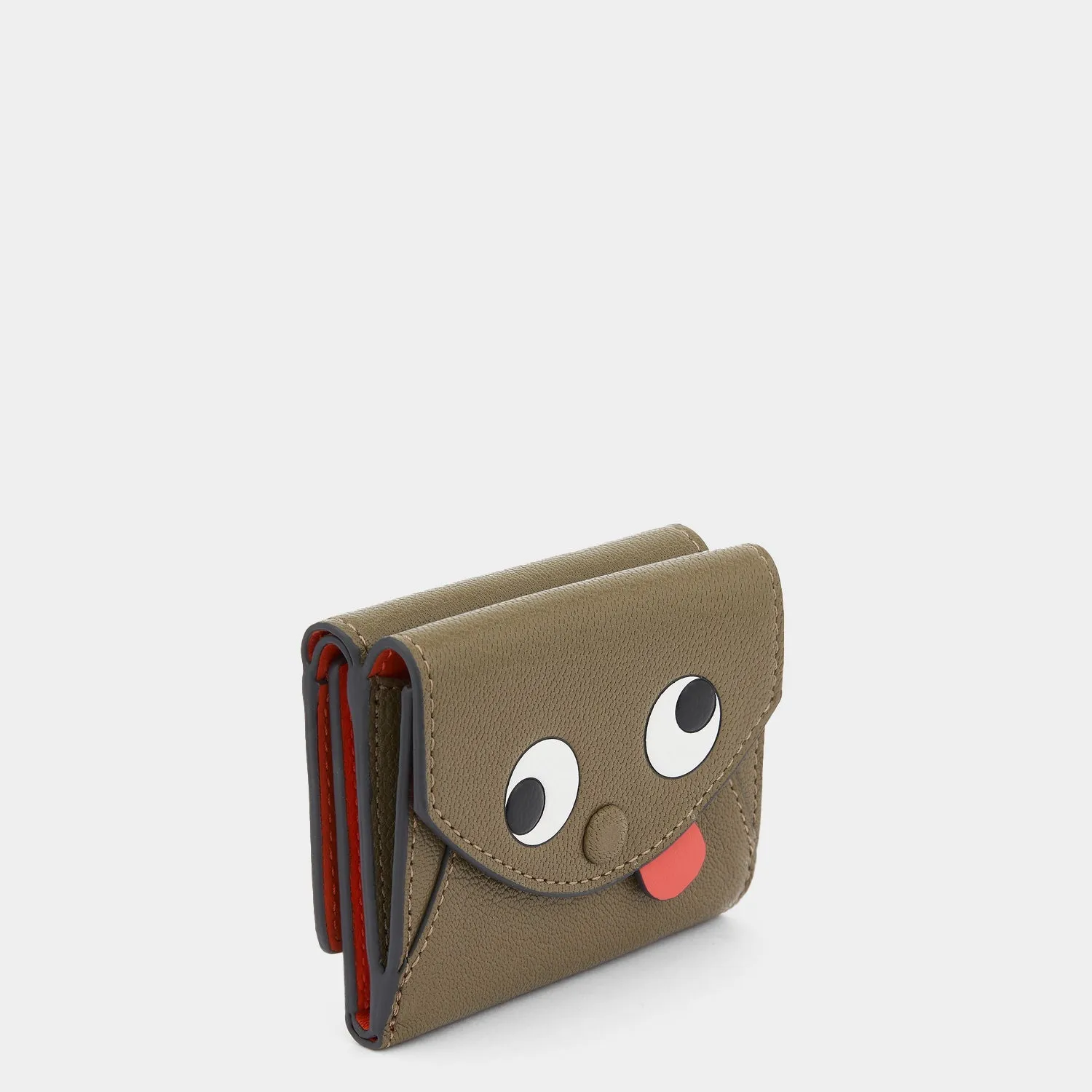 Zany Mini Trifold