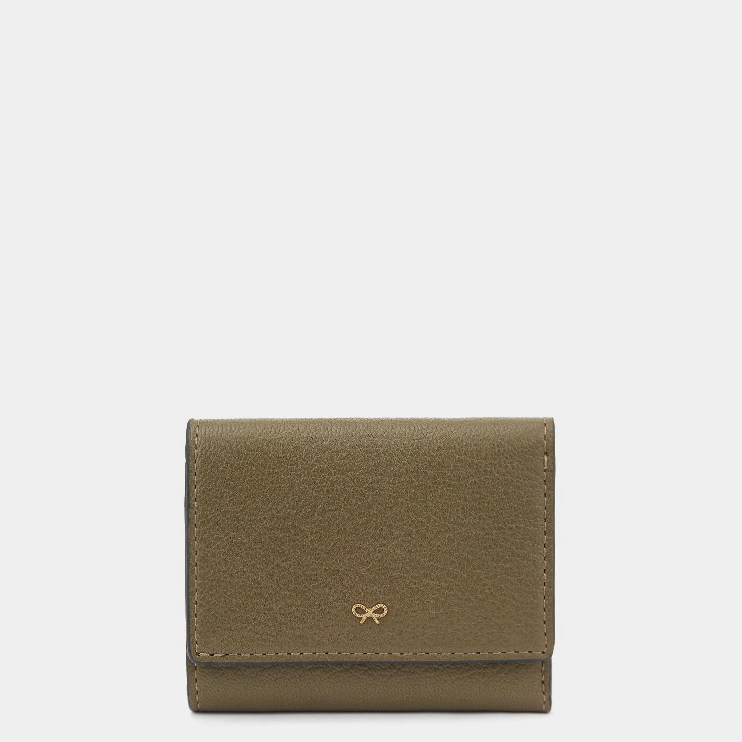 Zany Mini Trifold