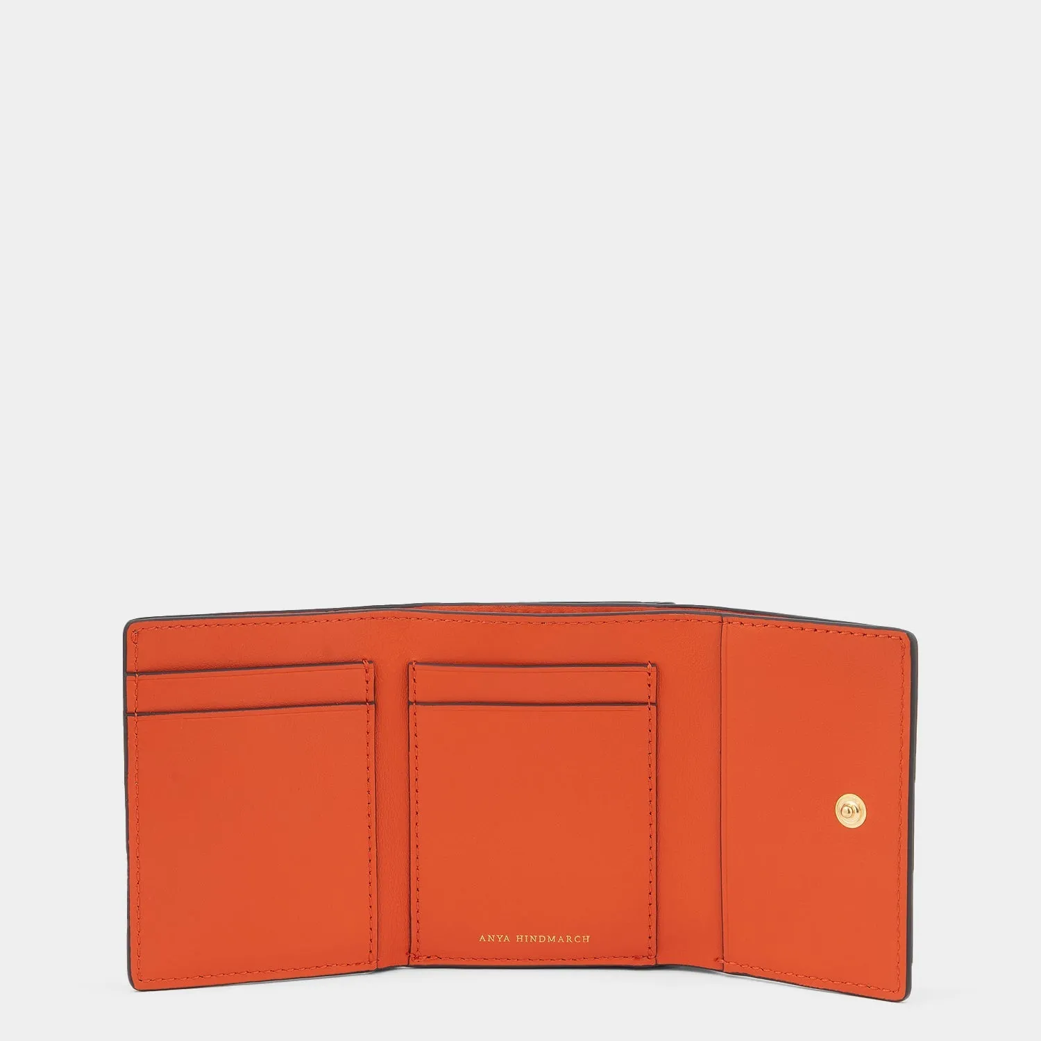Zany Mini Trifold
